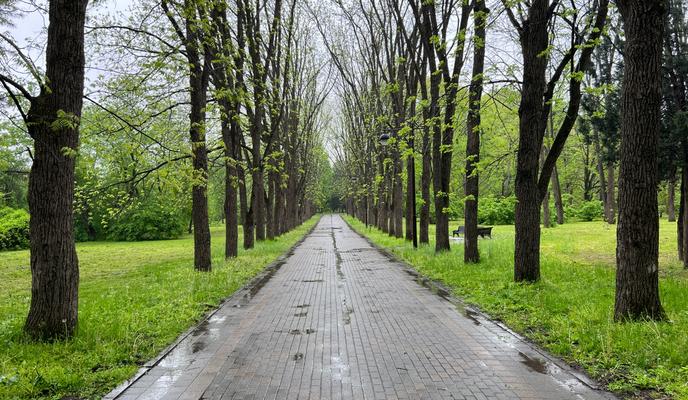 b237e7ae-92c0-49dd-a545-11a686a9c171