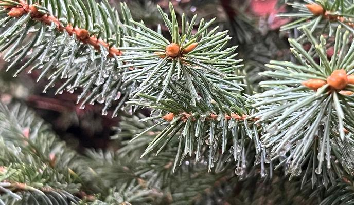 Bitrix 183383: b7ddd5c5_65c1_416f_a440_c5c175c2a08d.jpg