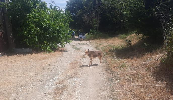 Bitrix 119676: bb616abd_013f_4642_ba53_efa224cfa99a.jpeg