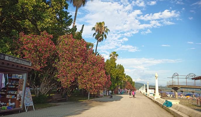 Bitrix 102515: bbb4c9d7_8fd3_4e95_9ab2_eec122c2ed54.jpeg