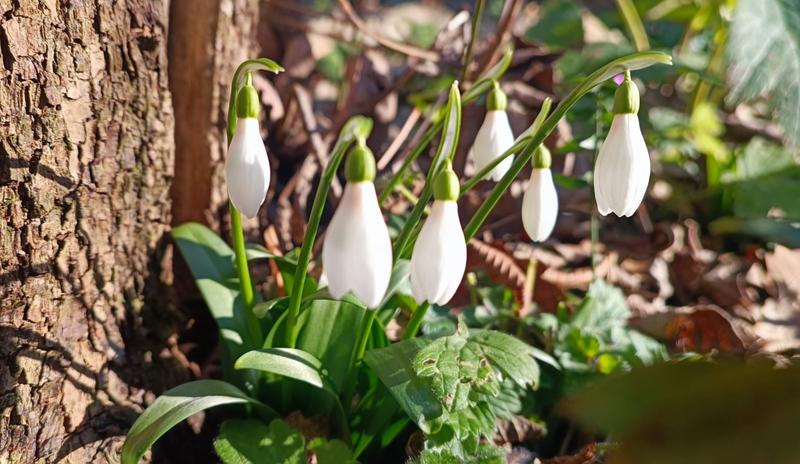 Bitrix 128779: bbk0mkq214h0i0zj088y6qh0tzgjihkf.jpeg