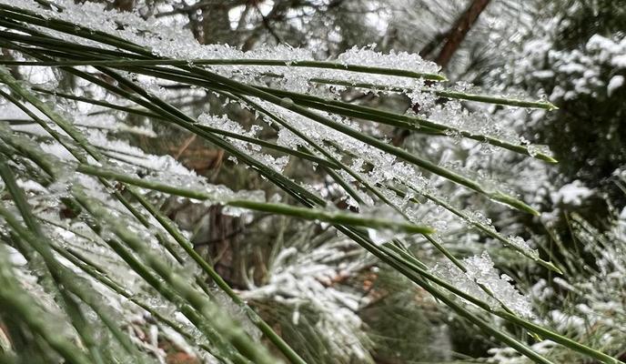 Bitrix 111373: bcc4f47c_b8cb_4fac_8f17_178541b26c6a.jpg