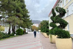 Bitrix 164838: bebdea39_1f98_40a0_8f3a_f21fd81a36ec.jpg