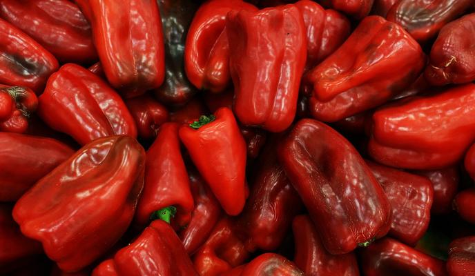 Bitrix 113140: bell_pepper_ge54ab1935_1280.jpg