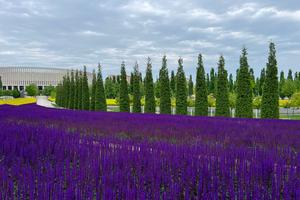 Bitrix 134478: bfdad6e4_fcf1_4417_ab0c_82c0384c49b0.jpg