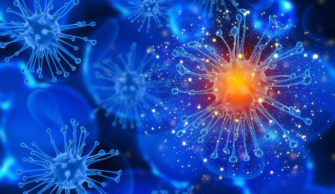 Bitrix 161146: biological_elements.jpg