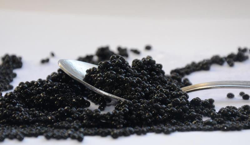 Bitrix 118067: black_caviar_2315835_1920.jpg