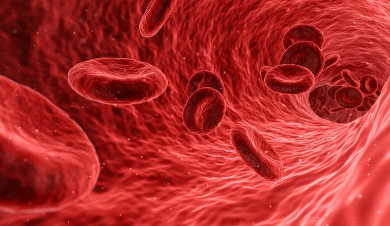 Bitrix 107795: blood_gad4f40af4_1280.jpg