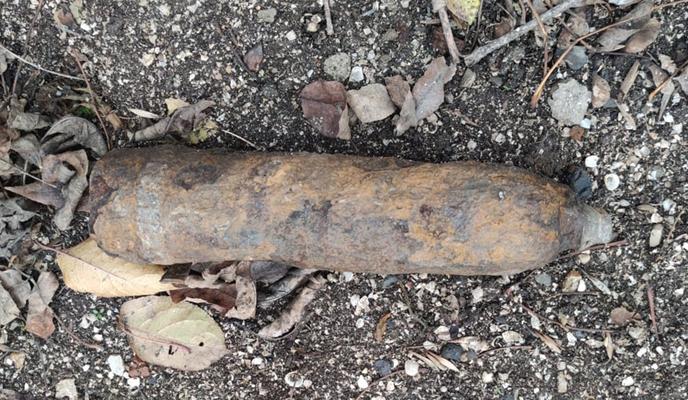 Bitrix 126594: boepripas_vov.jpeg