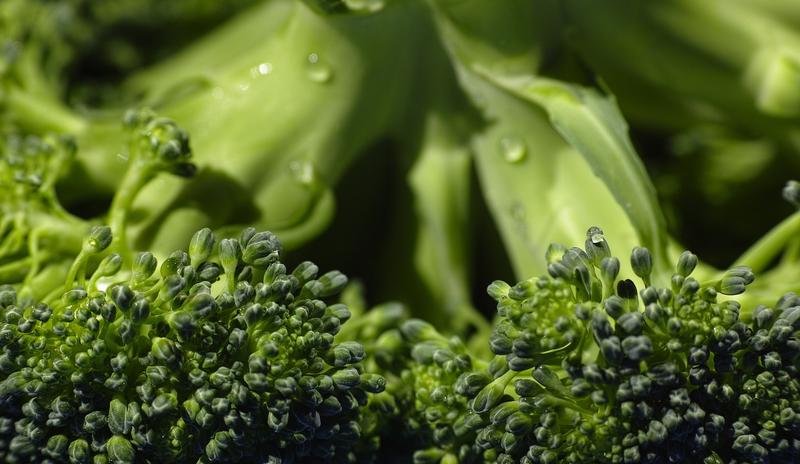 Bitrix 104386: broccoli_1792236_1280.jpg