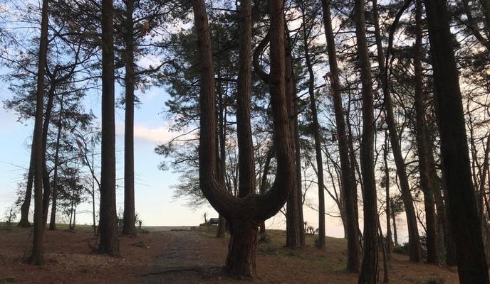 Bitrix 113697: c3789e5b_b92a_4e52_a42e_f965593c87a4.jpg