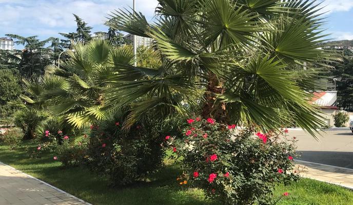 Bitrix 148562: c39bdc94_96e1_433f_bbd2_3b40a0829771.jpg