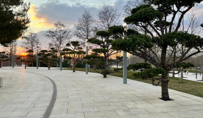 Bitrix 183998: c4797c43_e125_41ff_ab3f_bea56549e68e.jpg