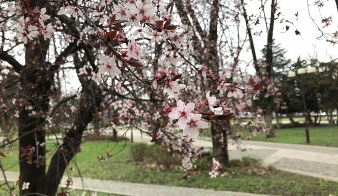 Bitrix 131086: c4ef5712_d435_4f47_b57a_6ce8895b0f43.jpg