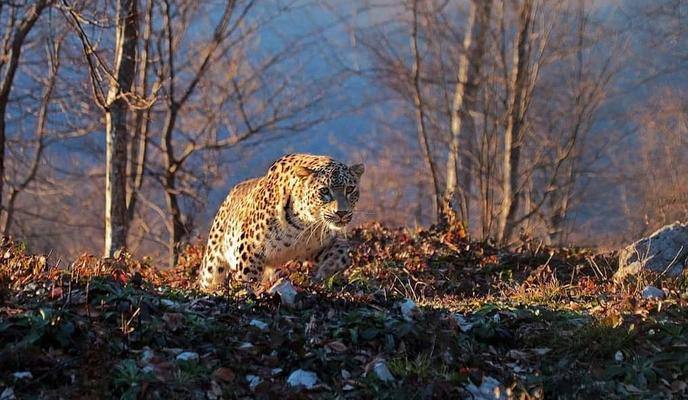 Bitrix 102627: c6f7ec1e_a906_4047_9f34_bfc26ecec8d3.jpeg