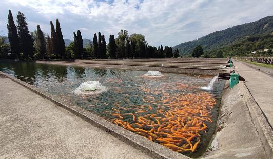 Bitrix 136415: c712g0aum39tul5s2em4ens0g8dwaqbr.jpeg