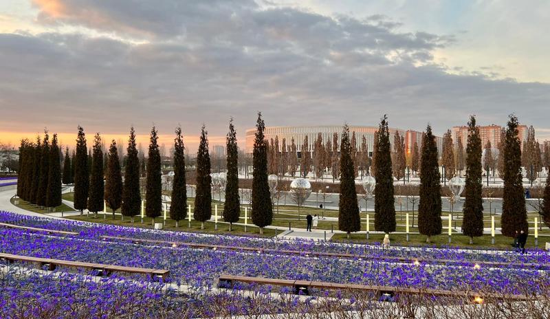 Bitrix 184012: c990c271_f71d_4b6e_a012_774d6423589b.jpg