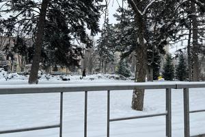 Bitrix 182769: ca76110d_9988_4259_bb2c_0b1286ae343d.jpg