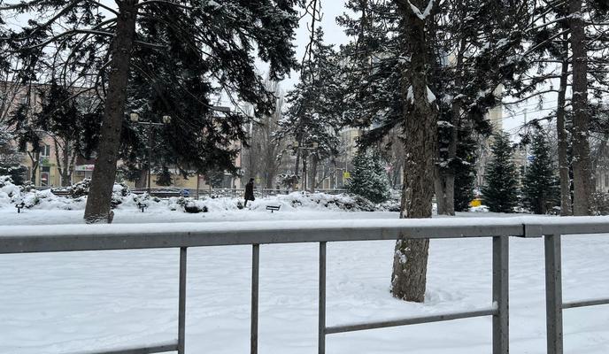 Bitrix 182769: ca76110d_9988_4259_bb2c_0b1286ae343d.jpg