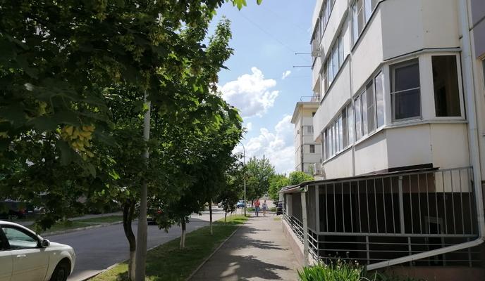 Bitrix 97804: cdfbc022_eb44_495e_8488_6455c7b01f8a.jpg