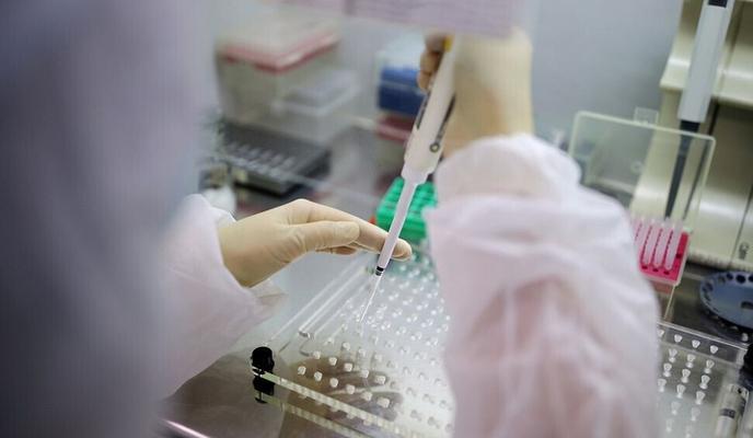 Bitrix 125517: ce03hvw103ymcbc0btnv20om7q32y4y9.jpg