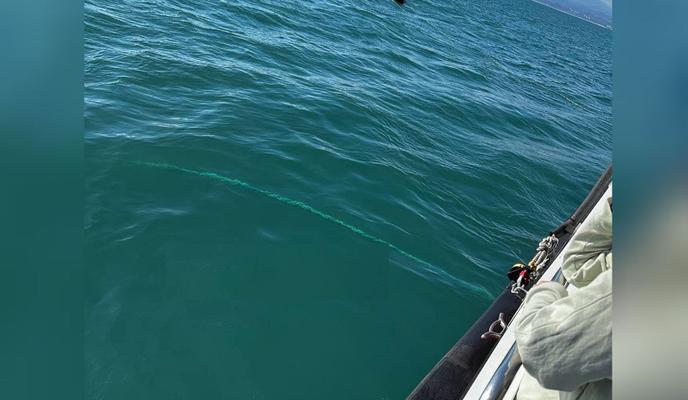 Bitrix 118264: cfaf2c44_9684_4670_8faf_f6eb037d56d9.jpeg