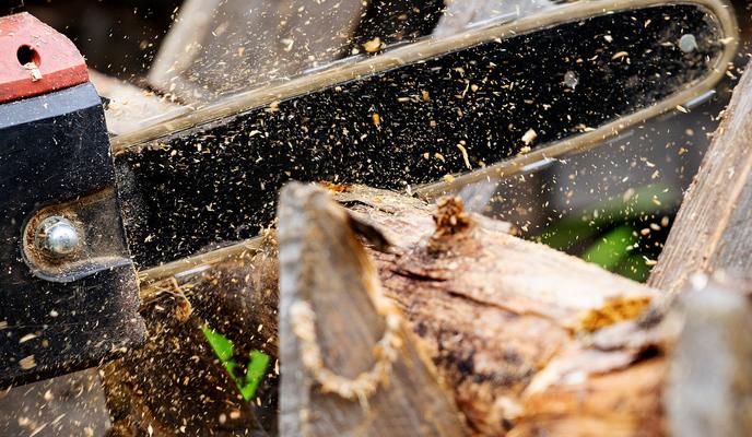 Bitrix 109332: chainsaw_g754cfa0e3_1280.jpg