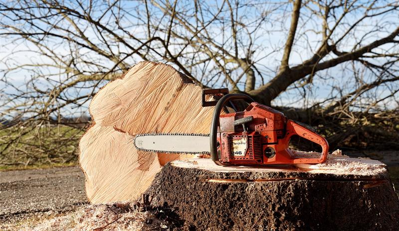Bitrix 113380: chainsaw_gc258f9de7_1280.jpg
