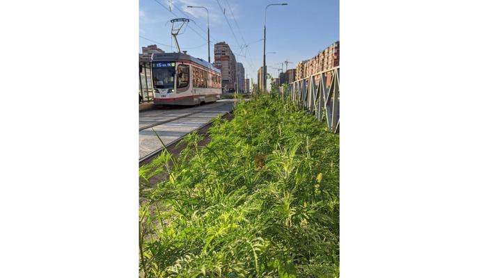 Bitrix 119512: cy8A7_ONtiNn454qS8JNtyVTiSBtUT7ZhttsoJ0KwFs4gV6_Oq8hHQD89fmwH8KzLt9r6dh_7P4ME2yAp3B0lBpS.jpg