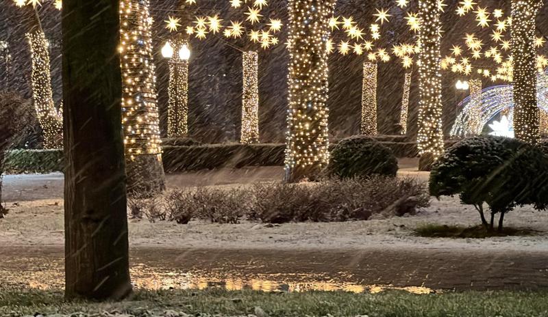 Bitrix 182467: d2c72236_3c86_4fd1_8442_e59cecacfce4.jpg