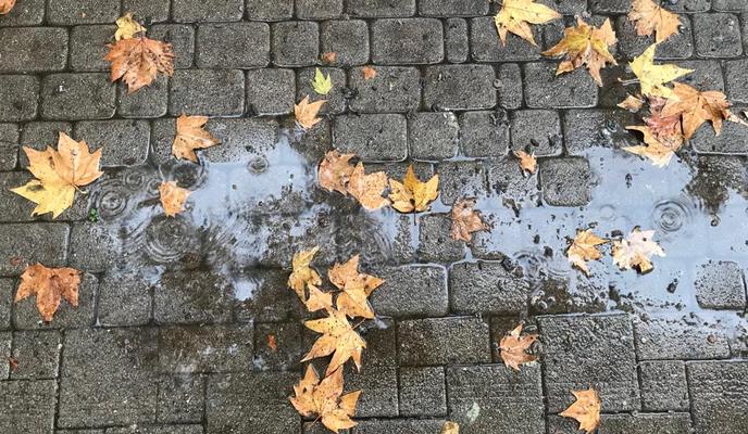 Bitrix 126015: d30f0d3a_721c_42a6_85dc_55a37690ab03.jpg