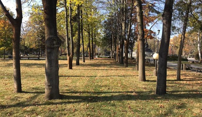 Bitrix 106599: d3b0c750_db42_4983_8eb0_80169226714d.jpg