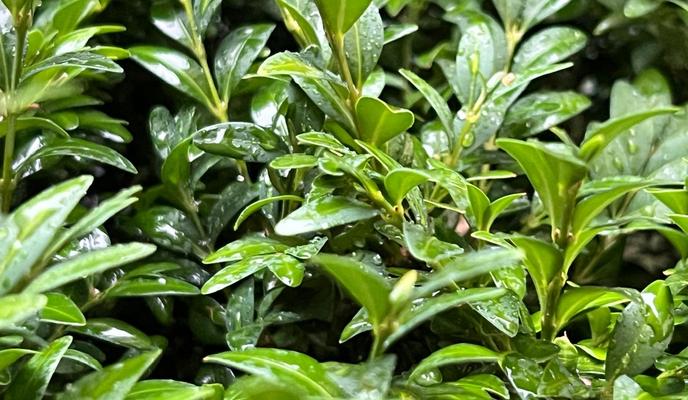 Bitrix 184380: d5f7513b_4ef8_4491_9ae2_c14cfbcf30d3.jpg