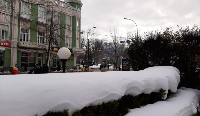 Bitrix 111461: d69e0aee_0464_4b91_8b2b_d8507727f7f5.jpg