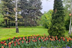 d6bf191d-7707-4cab-b771-7addd8a000fb