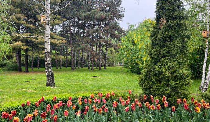 d6bf191d-7707-4cab-b771-7addd8a000fb