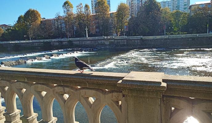 Bitrix 110831: dda950e3_4f38_4ca2_ac61_b9d21f76a02e-_2_.jpeg