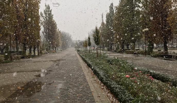 Bitrix 160184: de3534b9_9722_403d_8913_57ba6d8a14e9.jpg