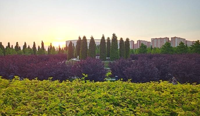 Bitrix 118970: de8f163d_b1ee_48e6_b6d5_fdfd1b6cde67.jpg