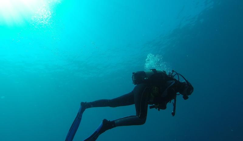 Bitrix 99928: diver_752667_1280.jpg