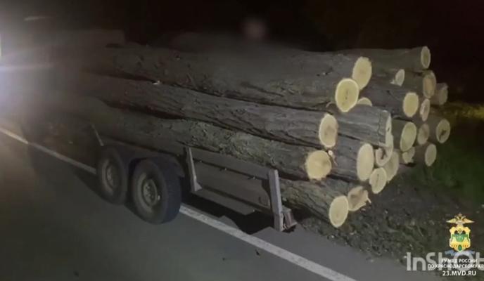 Bitrix 135924: drova.jpg