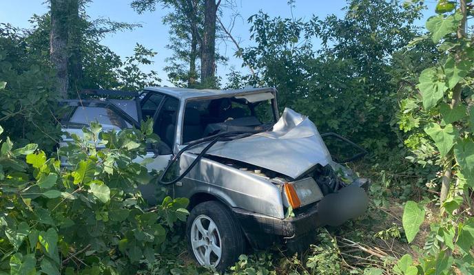 Bitrix 154352: dtp.jpg