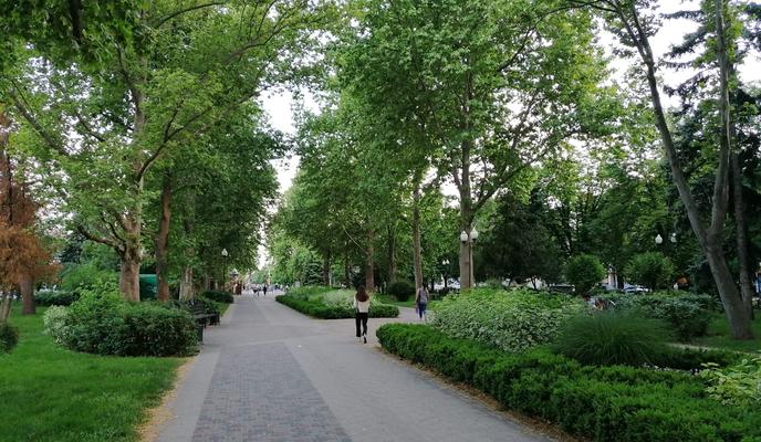 Bitrix 98646: e0feaa4a_6225_410e_b25c_30300521abbb.jpg