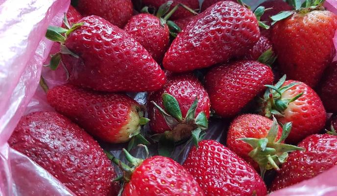 Bitrix 94497: e288e8bc_d987_4ee0_baa3_f0960d22a8e6.jpg