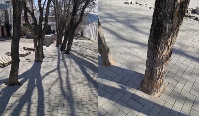 Bitrix 129390: e3Nkc_Vn5pdvsE07N1h1TuJk0fliRlszDnpHCiyqcF1UFxhuJI8fele_6W86fDMT11HpJjUOIxTWjPC3YLNnf_in.jpg