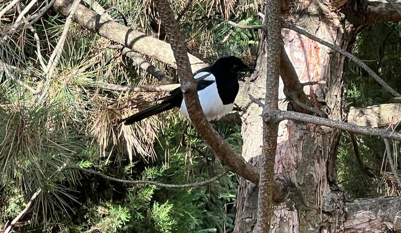 Bitrix 183639: e3ea1e08_34de_41f0_8a6c_62ba5f21fbab.jpg