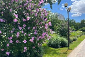 e5a1c7cb-f7e4-4392-9e8e-71c4f46a90a9