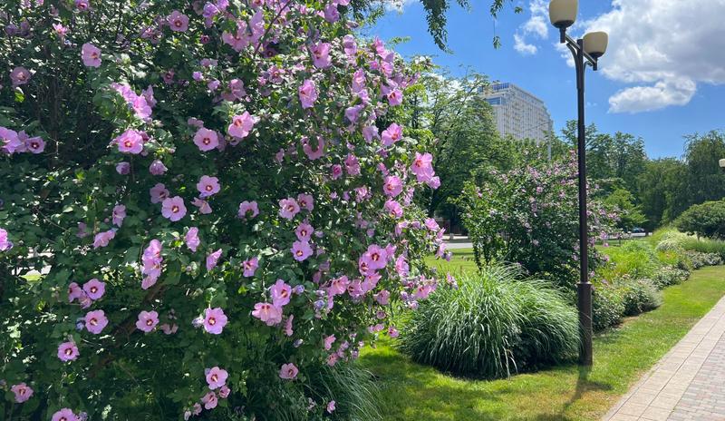 e5a1c7cb-f7e4-4392-9e8e-71c4f46a90a9