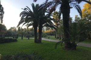 Bitrix 178821: e6780ba0_1458_4ca2_aa5d_7bb3dcd63f26.jpg