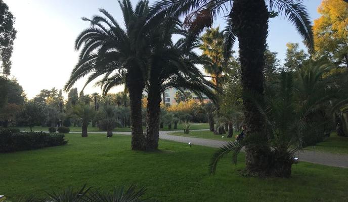 Bitrix 107689: e6780ba0_1458_4ca2_aa5d_7bb3dcd63f26.jpg